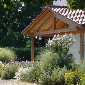 https://bed-and-breakfast-villa-gina.hotelslidodijesolo.com